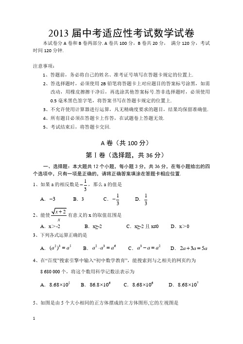 2013届中考适应性考试数学试卷及答案2013104