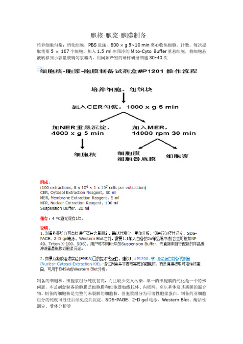 胞核-胞浆-胞膜制备