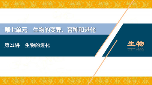 2021版高考生物(人教版)一轮复习课件：第七单元 第22讲 生物的进化