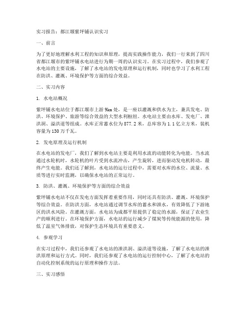 都江堰紫坪铺认识实习报告