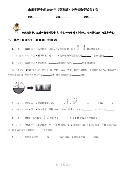 山东省济宁市2020年(春秋版)小升初数学试卷B卷新版