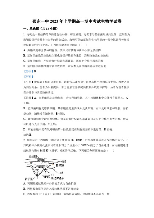 湖南省邵阳市邵东市一中2022-2023学年高一下学期期中生物试题(解析版)