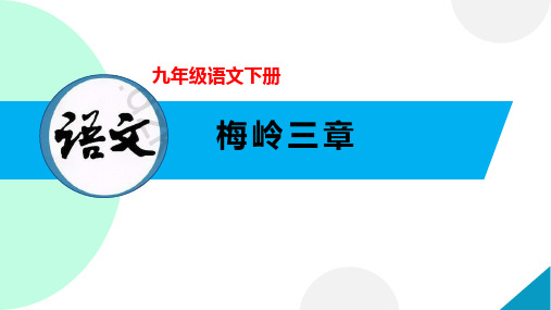 全国优质课一等奖部编版大单元初中语文九年级下册《梅岭三章》活动版精美课件