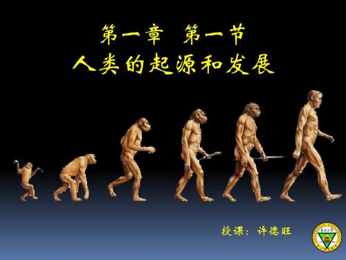 人类的起源和发展(新课标)