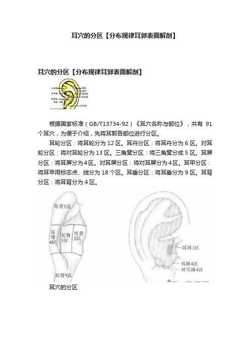 耳穴的分区【分布规律耳郭表面解剖】