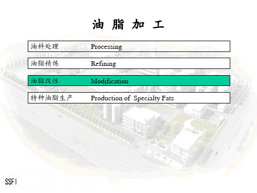 油脂加工与油脂知识资料讲解