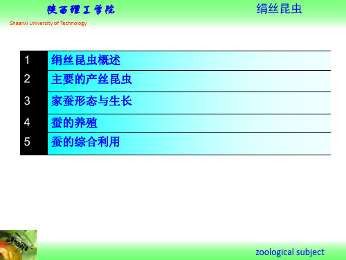 (完整版)资源昆虫学-绢丝昆虫