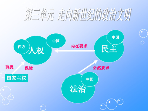 历史与社会：人教版九年级第三单元第一课 人权的足迹(共30张PPT)