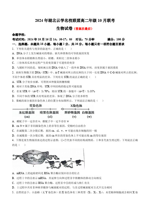 湖北省云学名校联盟2024-2025学年高二上学期10月联考生物试题含答案