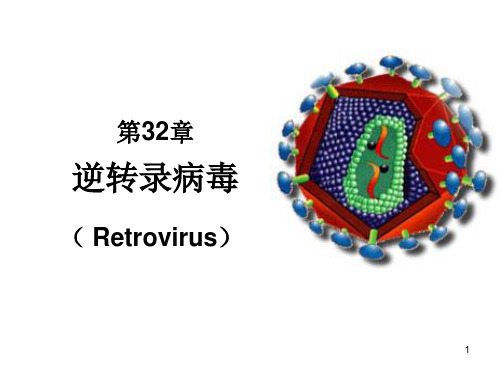 7第32章-逆转录病毒总结