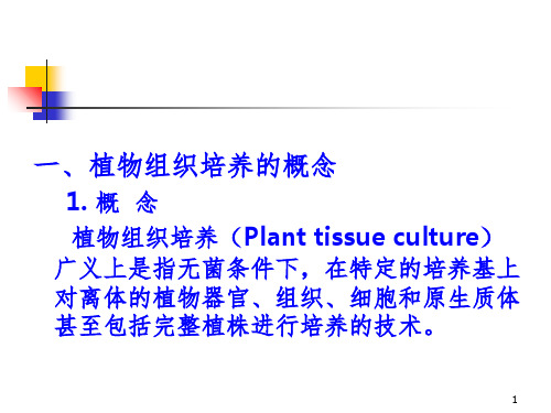 高中生物选修一植物组织培养技术