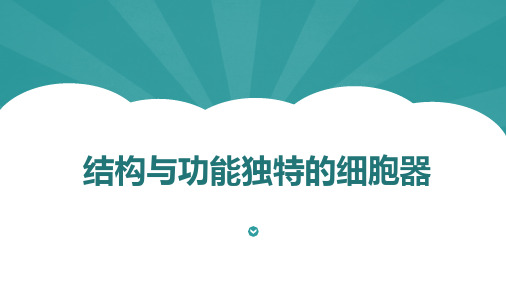 2.2.2 结构与功能独特的细胞器(教学课件)—高一上学期生物苏教版必修1