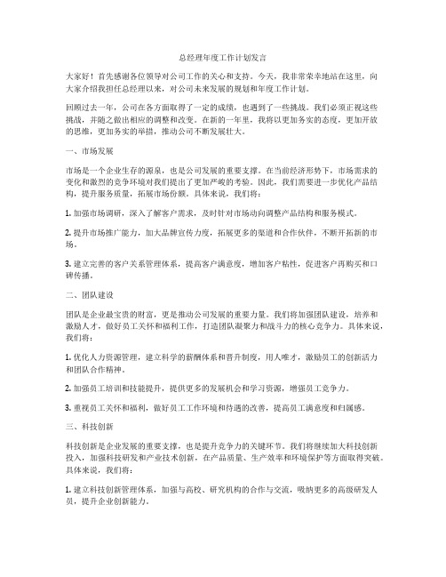 总经理年度工作计划发言