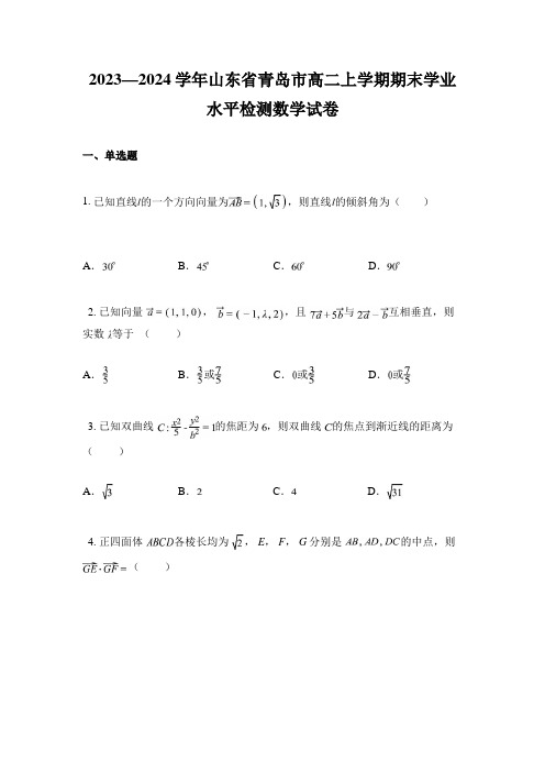 2023—2024学年山东省青岛市高二上学期期末学业水平检测数学试卷