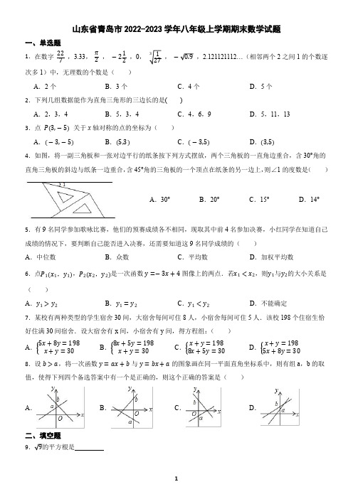 山东省青岛市2022-2023学年八年级上学期期末数学试卷(含答案)