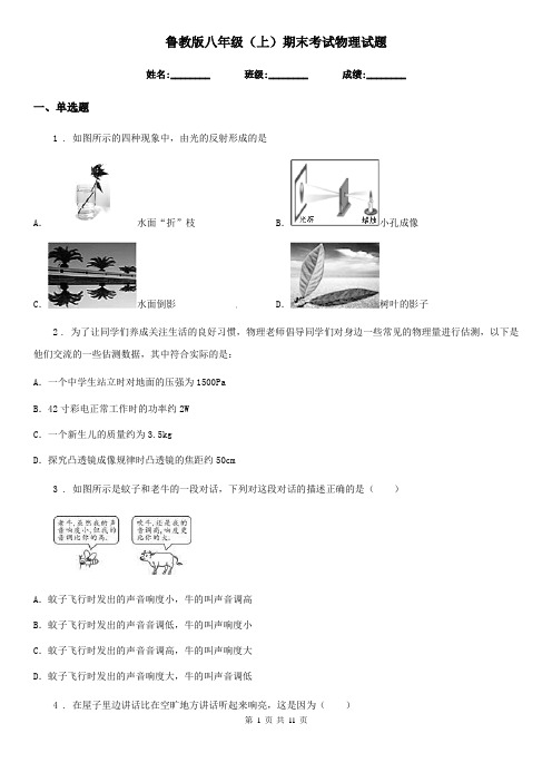 鲁教版八年级(上)期末考试物理试题(练习)