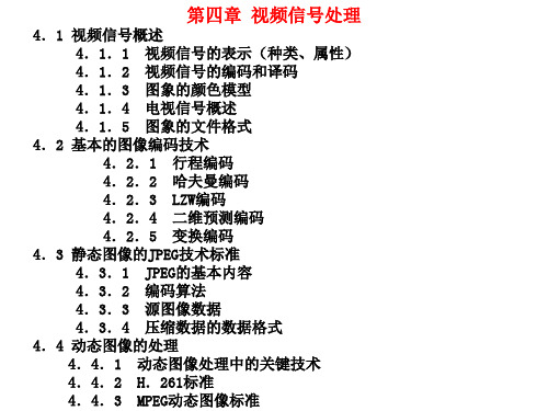 视频信号处理基本知识 ppt课件