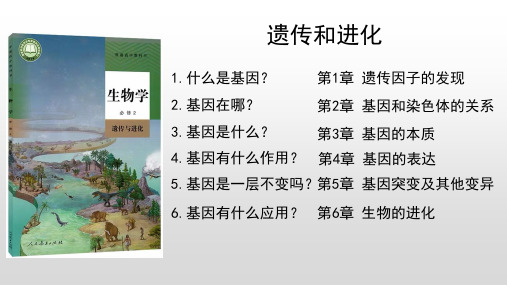 1.1孟德尔的豌豆杂交实验(一)课件高一下学期生物人教版必修2