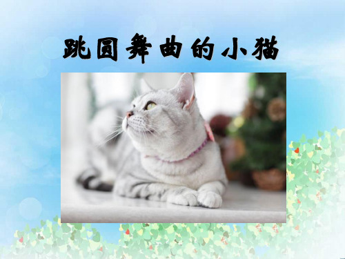 《跳圆舞曲的小猫》PPT  图文