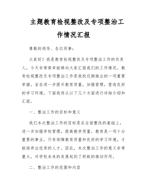 主题教育检视整改及专项整治工作情况汇报