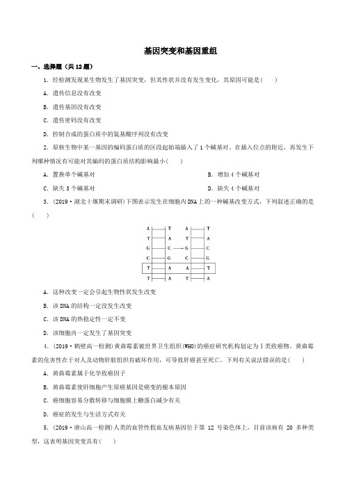 【新】春季高一人教版生物必修二  5.1《 基因突变和基因重组》测试题 (含答案)