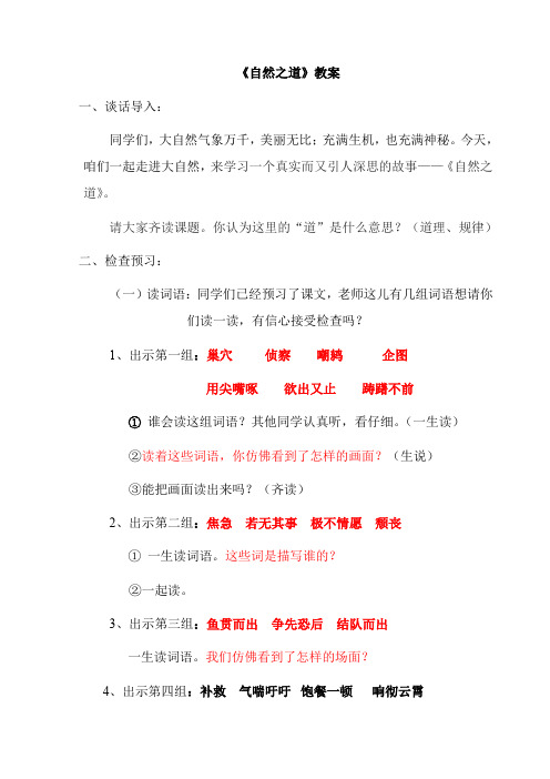 《自然之道》详案