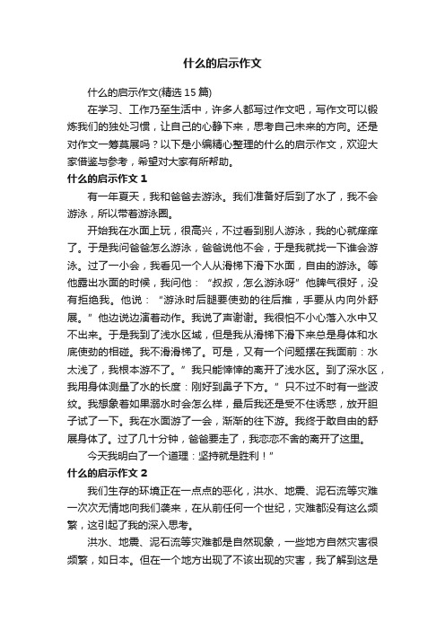 什么的启示作文