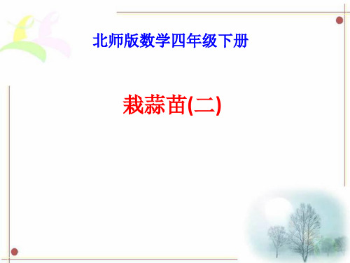 北师大版数学四年级下册 第6单元栽蒜苗(二) 课件