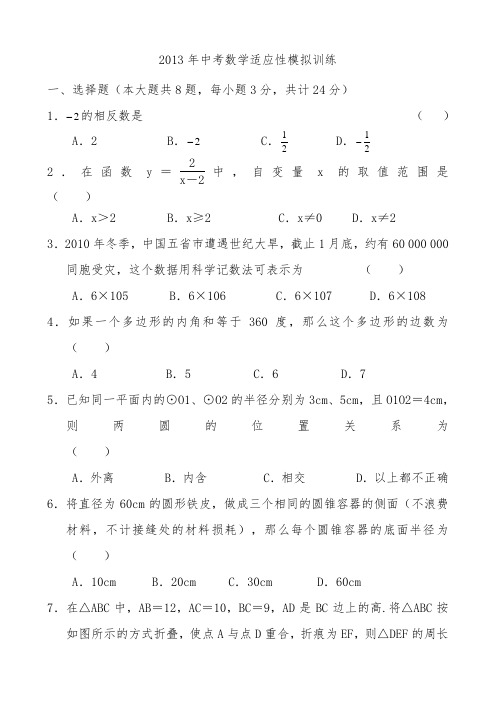 2013年中考数学适应性模拟训练题及答案