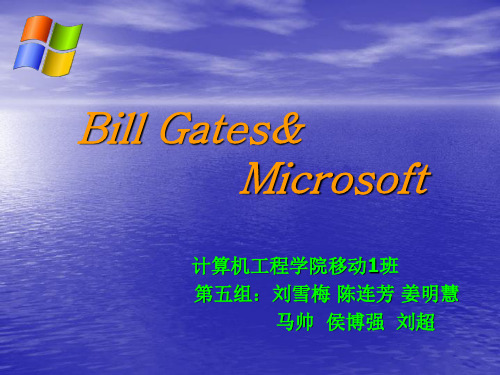 Microsoft_英文介绍