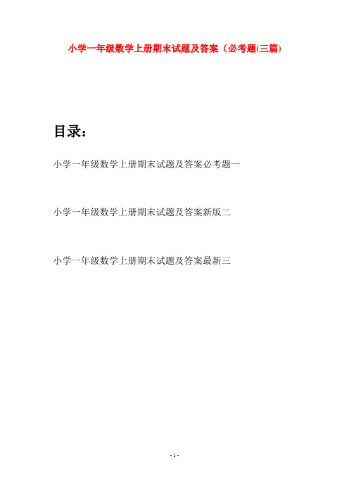 小学一年级数学上册期末试题及答案必考题(三套)