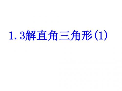 解直角三角形 PPT课件 31 浙教版