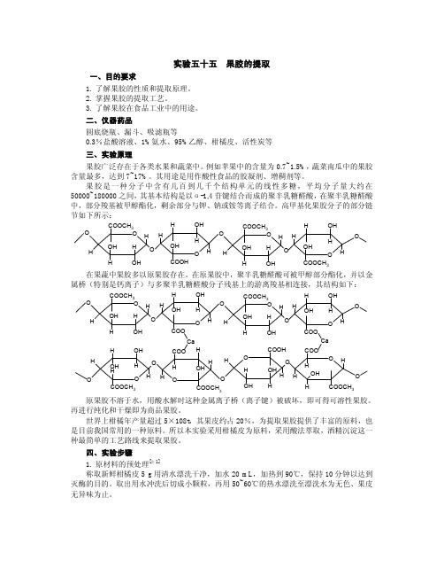 实验五十五果胶的提取