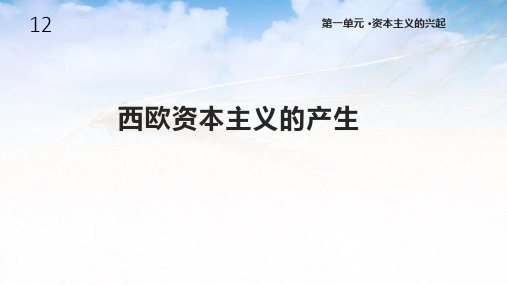 川教版九年级历史上册12《西欧资本主义的产生》课件19