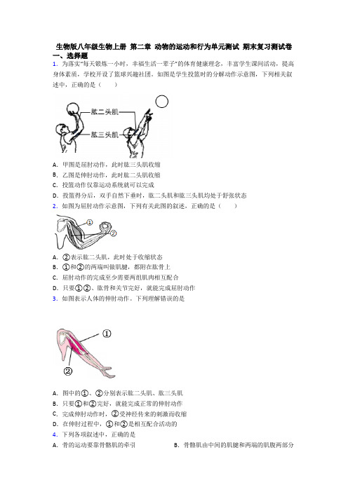 生物版八年级生物上册 第二章 动物的运动和行为单元测试 期末复习测试卷