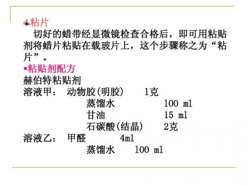 第二章石蜡制片方法-2