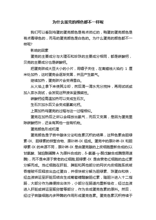 为什么蛋壳的颜色都不一样呢