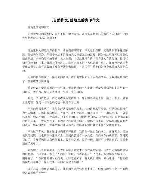[自然作文]雪地里的脚印作文