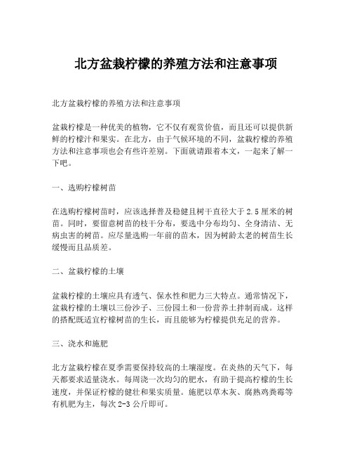 北方盆栽柠檬的养殖方法和注意事项