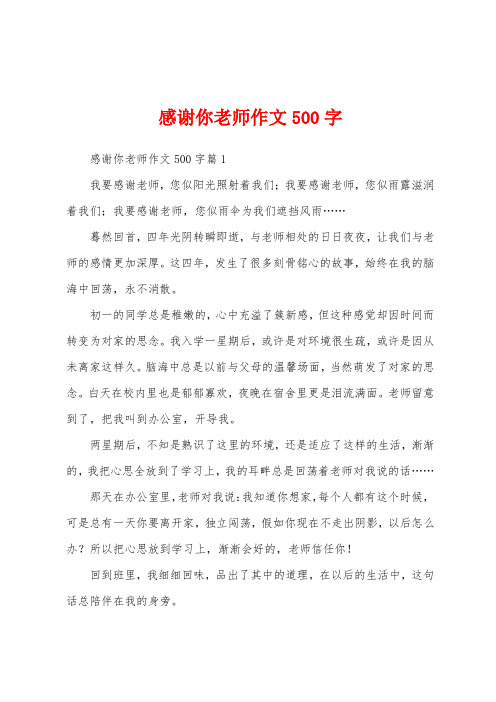 感谢你老师作文500字