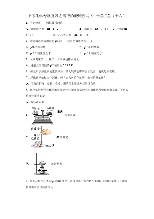 2023年中考化学专项复习之溶液的酸碱性与pH专练汇总(十六)