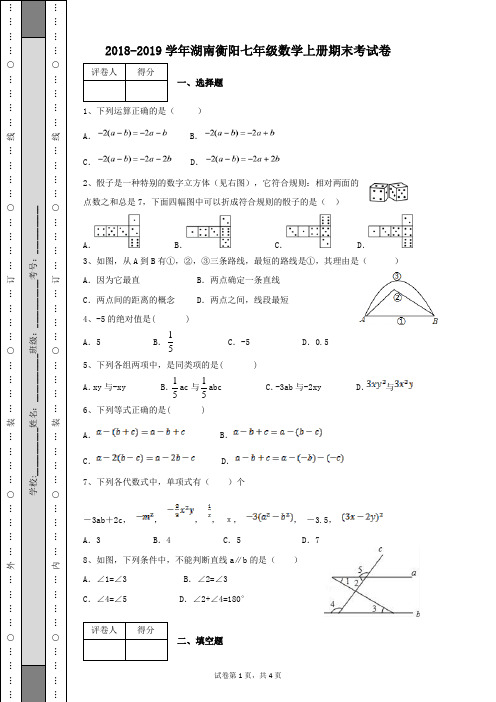 2018-2019学年湖南衡阳七年级数学上册期末考试卷及答案含有详细解析