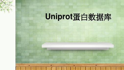 Uniprot蛋白数据库课件