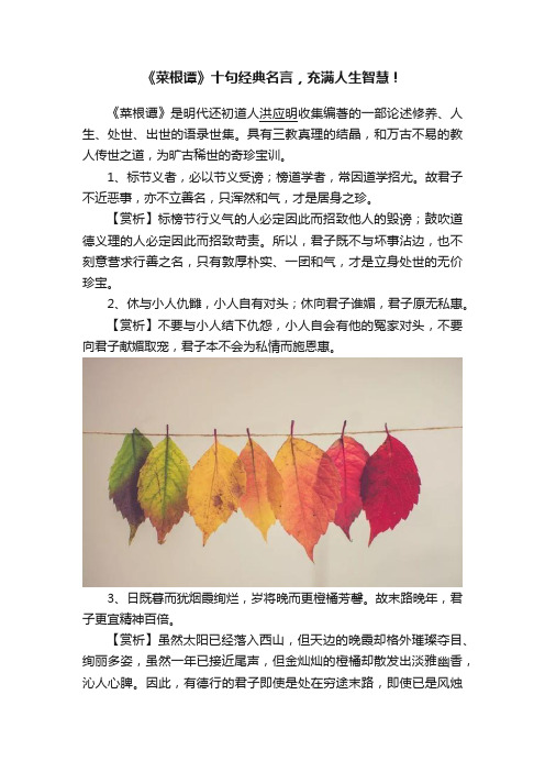 《菜根谭》十句经典名言，充满人生智慧！