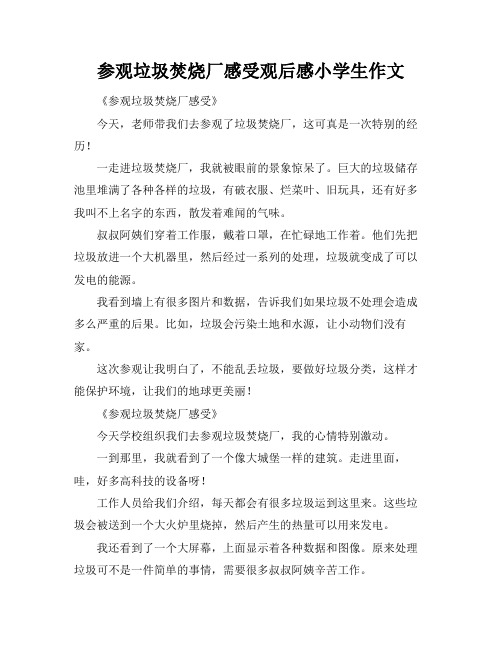 参观垃圾焚烧厂感受观后感小学生作文