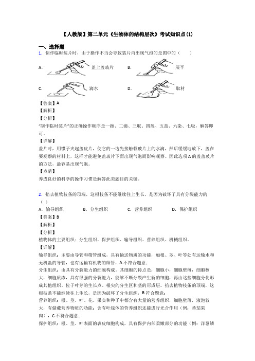 【人教版】第二单元《生物体的结构层次》考试知识点(1)