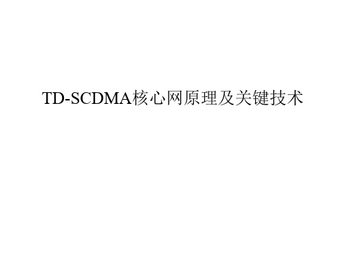 TD-SCDMA核心网原理