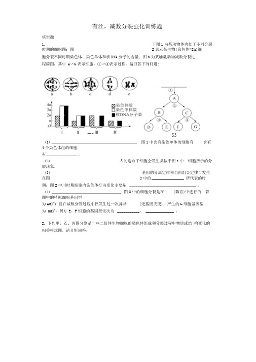 有丝,减数分裂强化训练题汇总