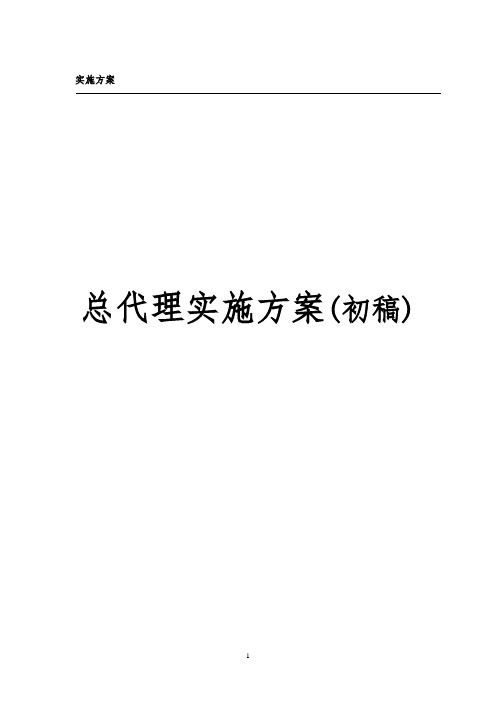 总代理实施方案初稿(1)