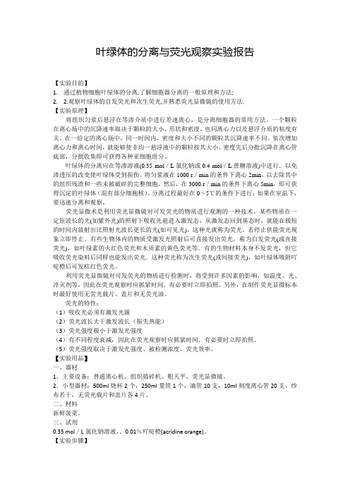 叶绿体的分离与荧光观察实验报告